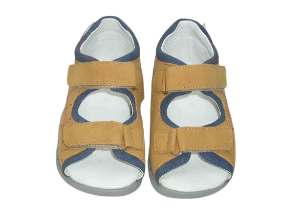 6965 camel 1 (2).png