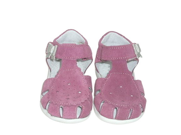 5443 róż sk. 1.png