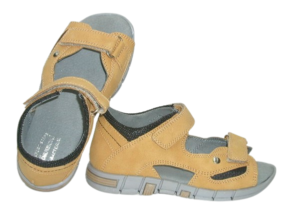 4759 camel 2 (2).png