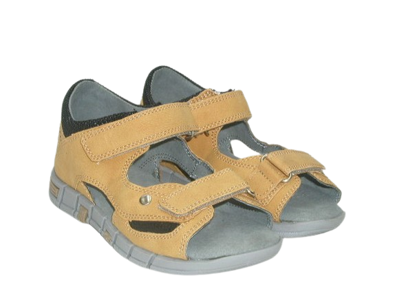 4759 camel 4 (2).png