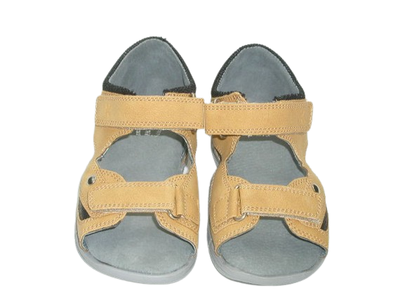 4759 camel 1 (2).png