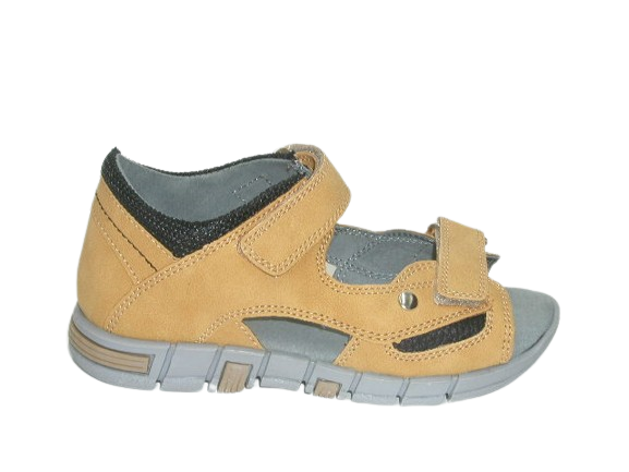 4759 camel 5 (2).png