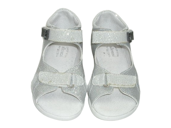 4972 srebro br. 1.png