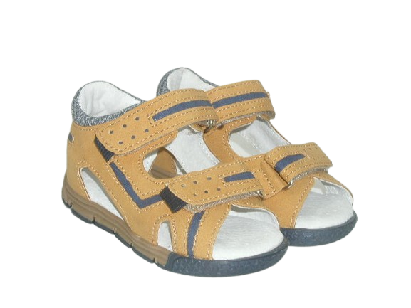 6696 camel 4.png
