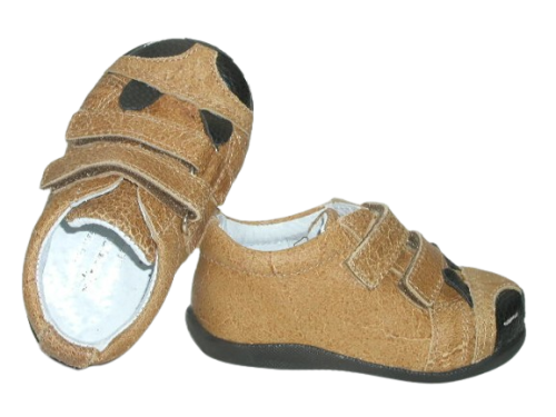 6438 camel sk. 2.png