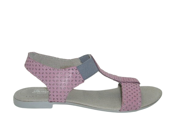 3495 wrzos sk. 5.png