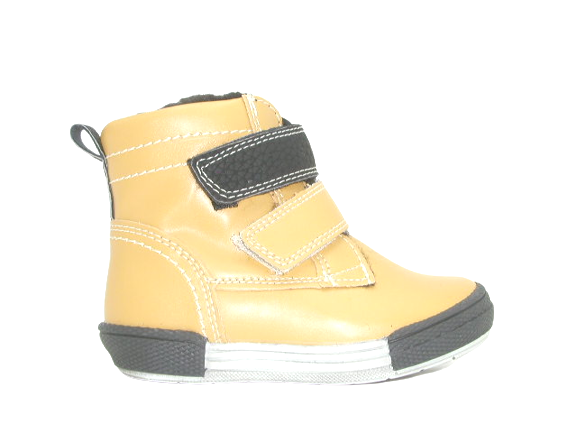 6754 camel 5 .png