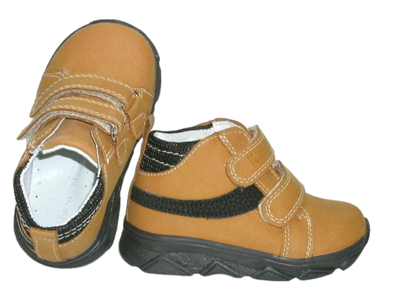 6631 camel 2.png