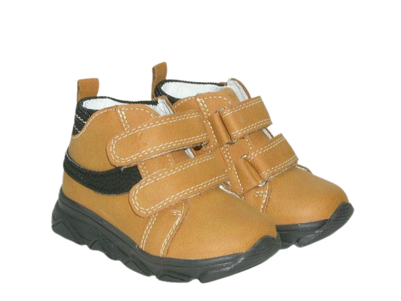 6631 camel 4.png