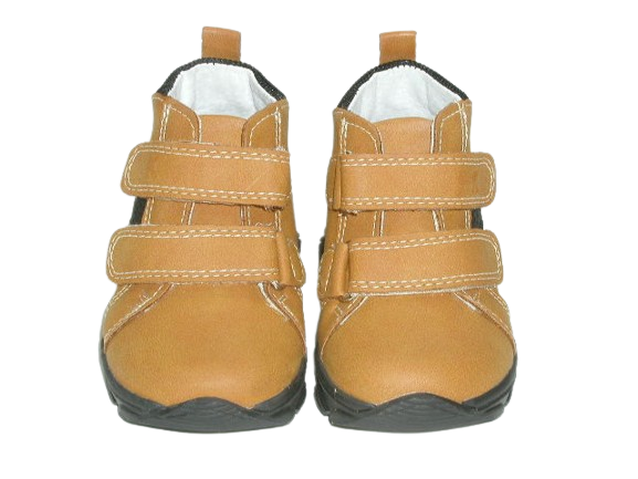 6631 camel 1.png